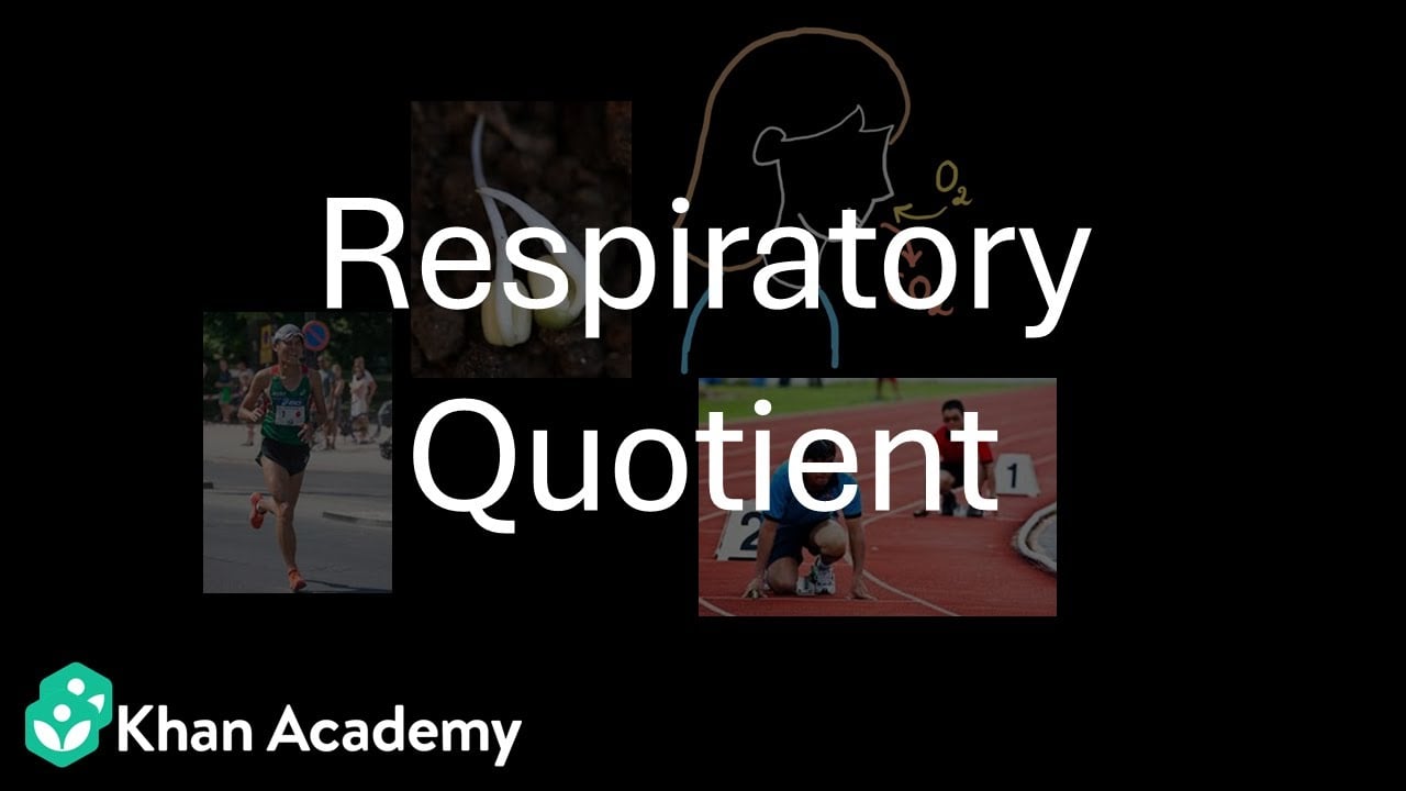 Respiratory quotient| Respiration in Plants | Grade 11 | Biology | Khan Academy