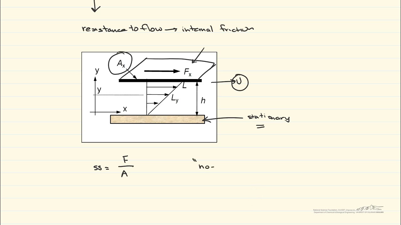 Viscosity and Shear Stress