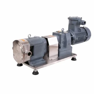 304 Stainless Steel High Viscosity Transfer Cam Rotor Pump for Food Cosmetic Chemical
